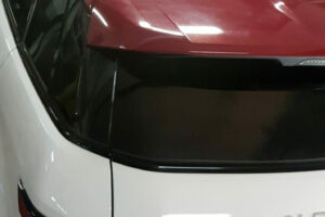 Evoque-wrap2