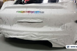 cayman-apple-wrap1