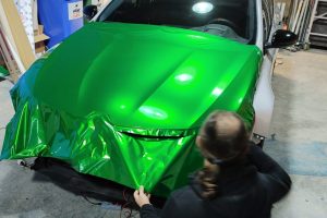 MeganeRStrohpy-wrap1