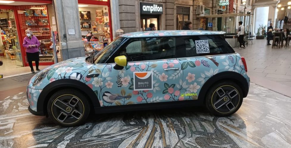 Mini-biauo-wrap