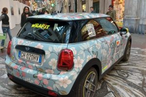 Mini-biauo-wrap1